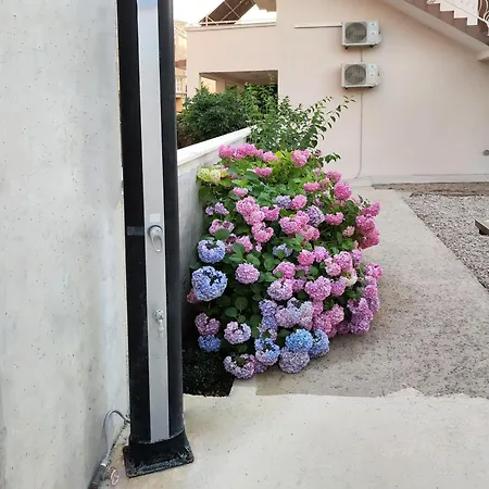 Appartamento Ivana Brodarica (Sibenik-Knin)